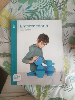 Emprenedoria, ESO