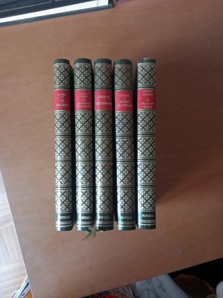 Biblioteca clásicos rusos