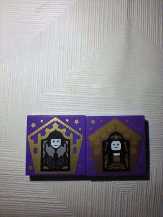 2 Carte Mago LEGO Harry Potter