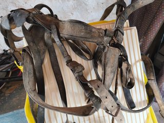 Arneses para 2 mulas antiguos, de Galera