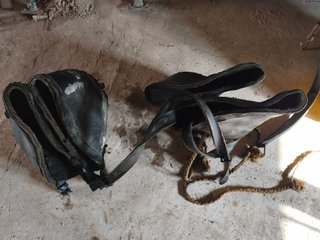 Arneses para 2 mulas antiguos, de Galera