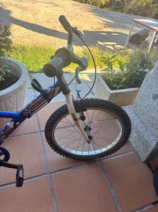 Bicicleta infantil niño