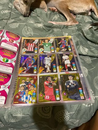 Álbum Adrenalyn XL Completo