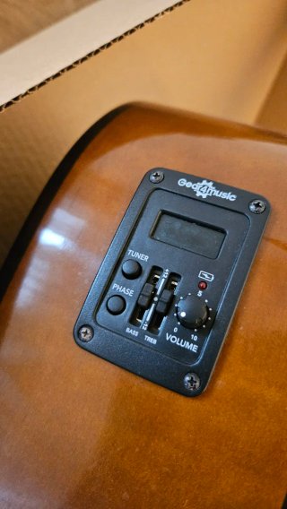 Guitarra Española Autoamplificada