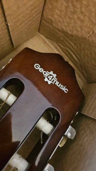 Guitarra Española Autoamplificada