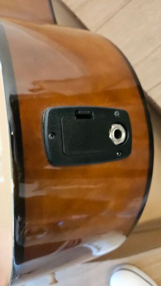 Guitarra Española Autoamplificada