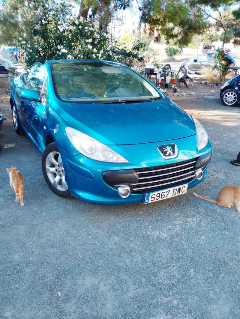 Peugeot 307 2006 - foto 1
