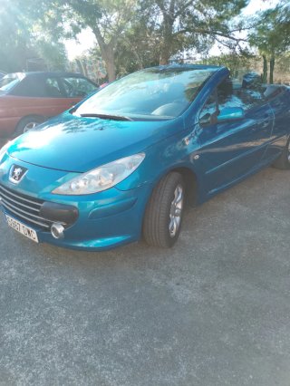 Peugeot 307 2006