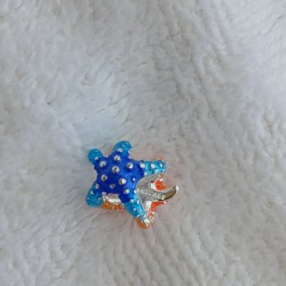 Charm Estrella de Mar Naranja y Azul