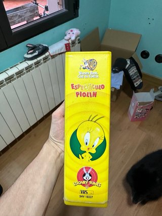 2 VHS Warner Bros Espectáculo Piolín y bugs bunny