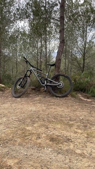 Bicicleta Enduro Specialized Status