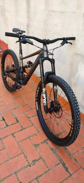 Bicicleta Enduro Specialized Status