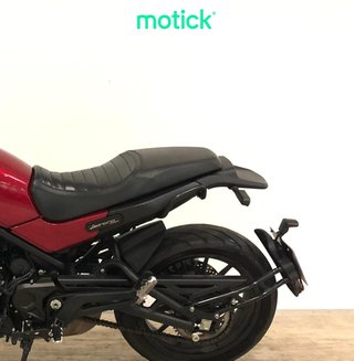 BENELLI LEONCINO 500