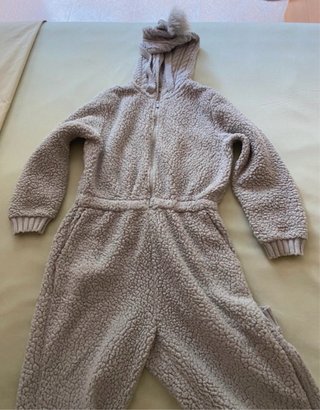 Mono invierno gris