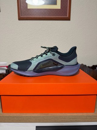 Nike Air Zoom Pegasus 41 GTX Talla 45 A ESTRENAR