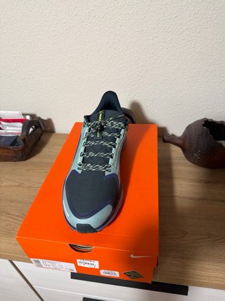 Nike Air Zoom Pegasus 41 GTX Talla 45 A ESTRENAR
