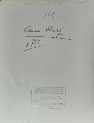 Foto Ibáñez de Nana Cherky Actriz Original