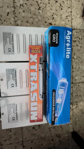 8 Balastros y 8 Focos 600W