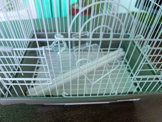 Jaula para pájaros