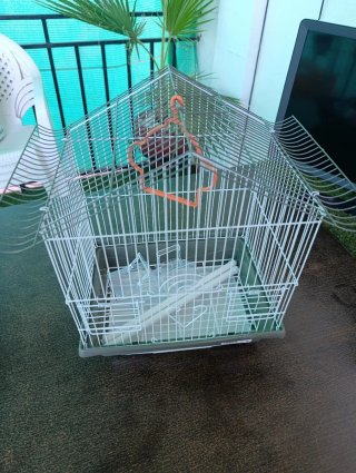 Jaula para pájaros