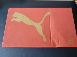 Puma Club II Era Rosa y Verde