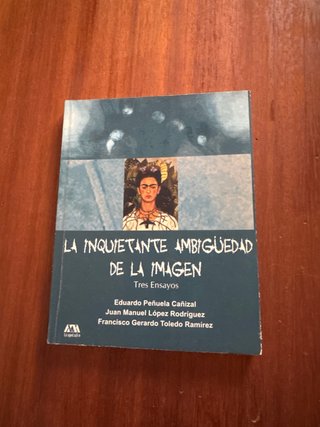 Lote Arte y Estética Gombrich Stoichita Kracauer.
