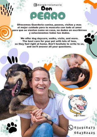 Guardería de mascotas
