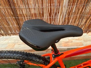 Bicicleta montaña Focus 29’