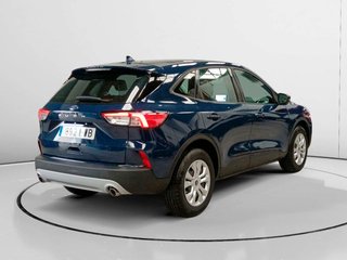 Ford Kuga 1.5 EcoBlue Trend 88 kW (120 CV)