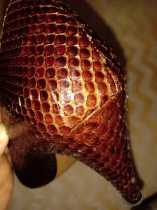ZAPATOS PIEL SERPIENTE MUJER