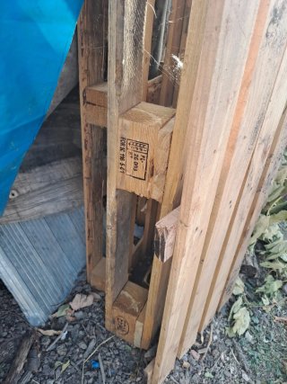 Palets de madera