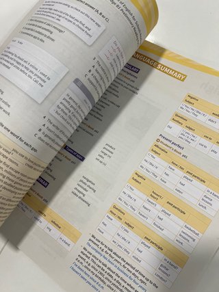 Synchronize 3 Workbook (Spain)