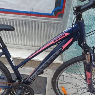Bicicleta Giant Rove Mujer