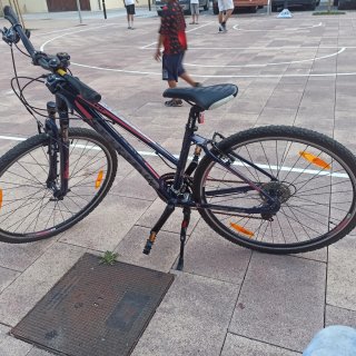 Bicicleta Giant Rove Mujer