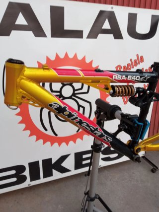 CUADRO ALPINESTARS RSA 840