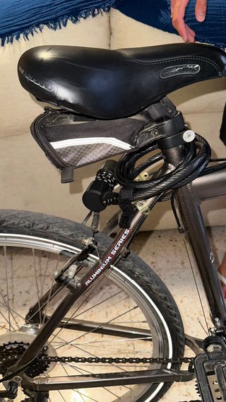 Bicicleta Boomerang Roncesvalles