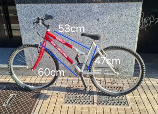 Bicicletas Top Trotter