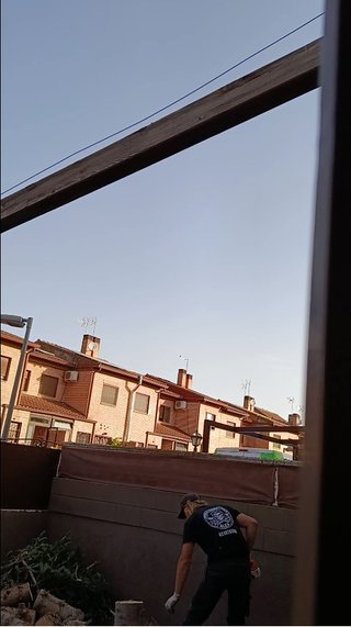 poda de árboles en Guadalajara