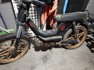 Derbi Variant