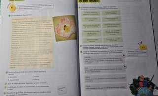 Lengua Castellana y Literatura 5, Tercer Ciclo ...