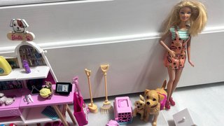Clínica Veterinaria Barbie con muchos animales