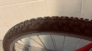 Bicicleta Raleigh Rasta Cup's