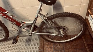 Bicicleta Raleigh Rasta Cup's