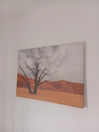 Cuadro paisaje desértico árbol seco
