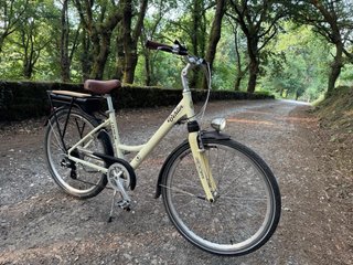 Bicicleta Eléctrica Litium Berlin