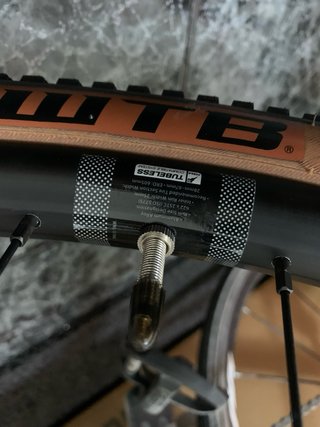 Ruedas WTB ST i25 y cubiertas Tubelizadas Nuevas