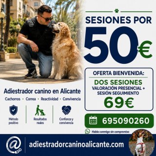 Adiestrador Canino Alicante
