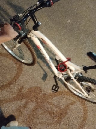 Bicicleta blanca