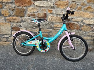 Bicicleta infantil B-PRO