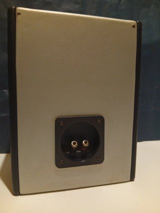 Pareja de Altavoces